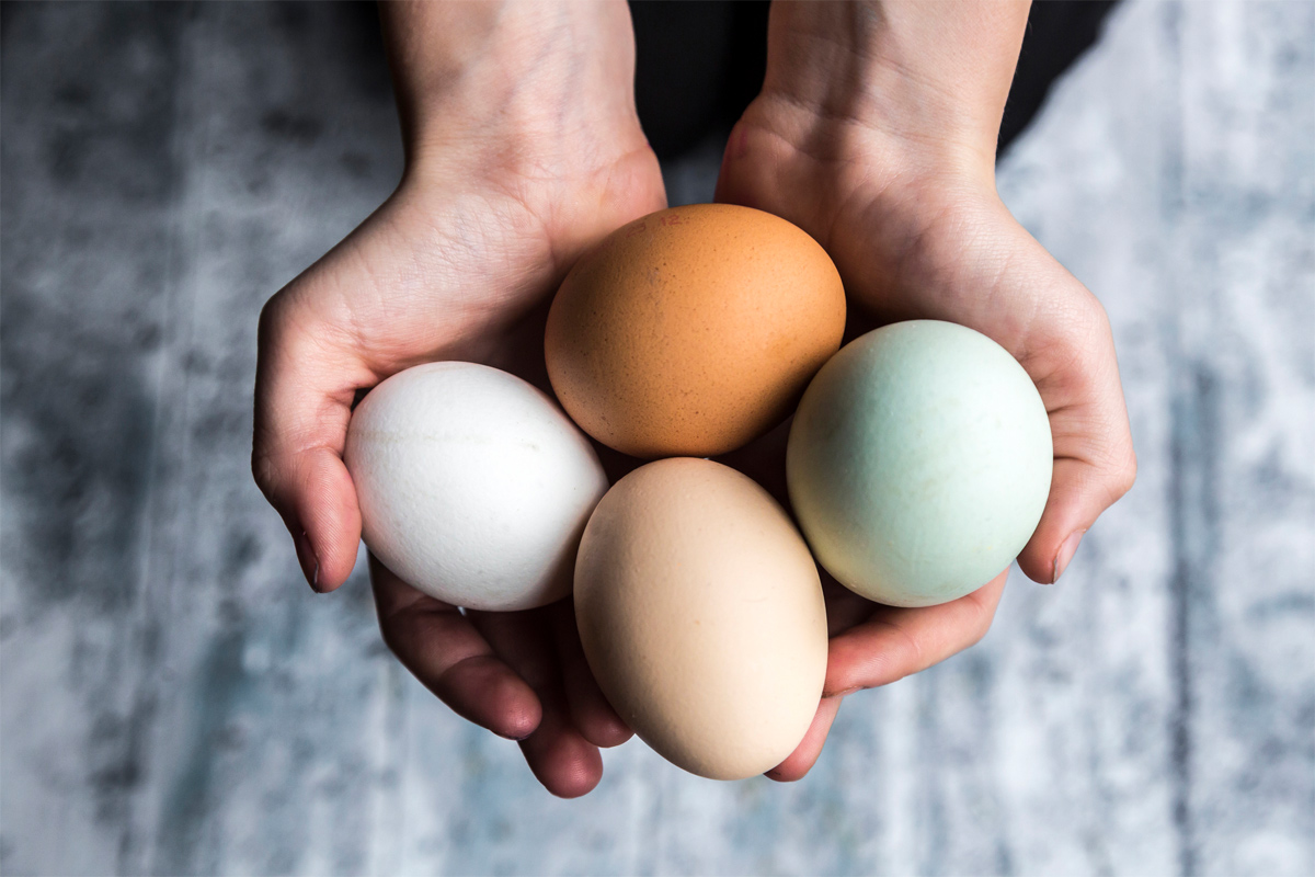 cuántos huevos es saludable comer al día