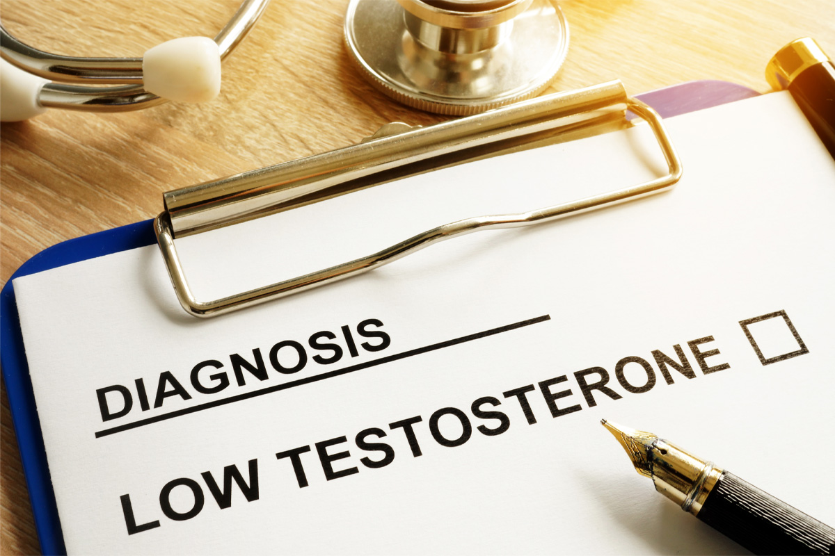 alimentos que benefician tus niveles de testosterona