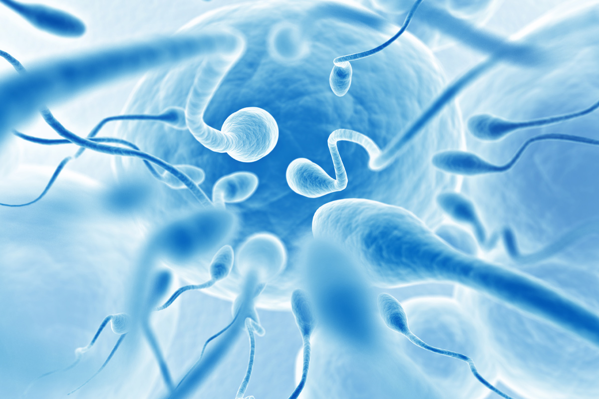 cómo mejorar la salud del esperma