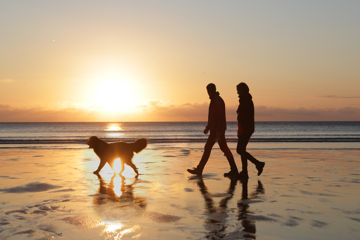 pareja sacando a pasear a tu perro